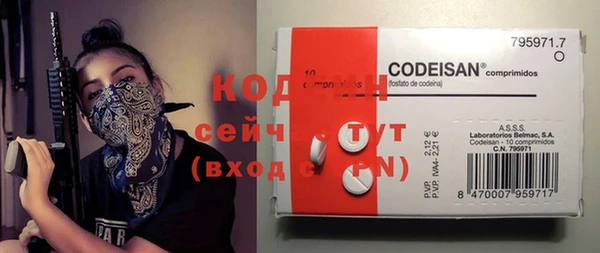 гашик Вязьма
