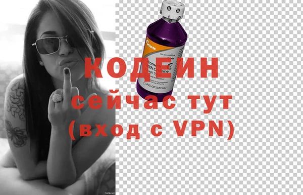 гашик Вязьма