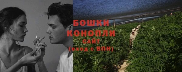 гашик Вязьма