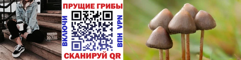 Псилоцибиновые грибы MAGIC MUSHROOMS  наркотики  Челябинск 
